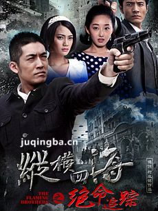 绝命追踪 绝命追踪剧情介绍(1-36全集)