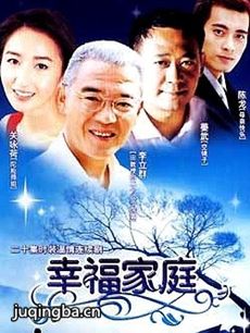 幸福家庭 电视剧《幸福家庭》剧情介绍(1-20全集)