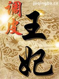 调皮王妃 电视剧《调皮王妃》剧情介绍(1-40全集)