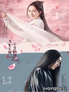 三生三世十里桃花 电视剧《三生三世十里桃花》剧情介...