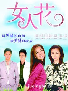 台湾版女人花 台湾版电视剧《女人花》剧情介绍(1-40...