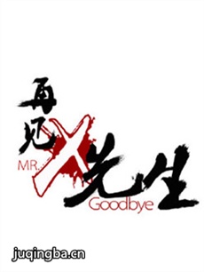 再见X先生 再见X先生剧情介绍(1-30全集)
