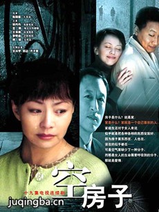 空房子 电视剧《空房子》剧情介绍(1-19全集)