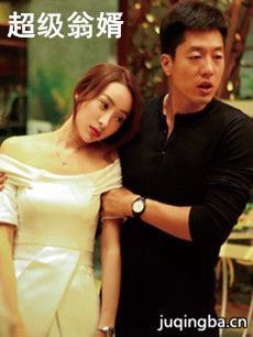 超级翁婿2017 超级翁婿2017剧情介绍(1-40全集)