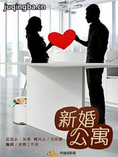 新婚公寓 新婚公寓剧情介绍(1-30全集)