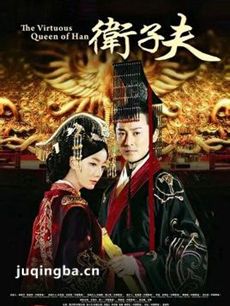 大汉贤后卫子夫 大汉贤后卫子夫剧情介绍(1-47全集)