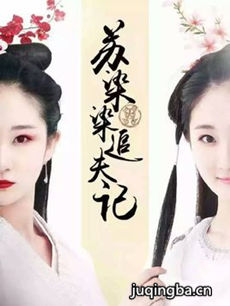 苏染染追夫记 苏染染追夫记剧情介绍(1-50全集)