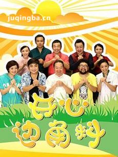 开心边角料 开心边角料剧情介绍(1-100全集)