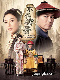 末代御医 末代御医剧情介绍(1-20全集)