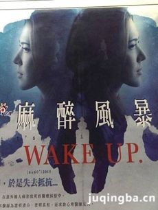 麻醉风暴 电视剧《麻醉风暴》剧情介绍(1-6全集)