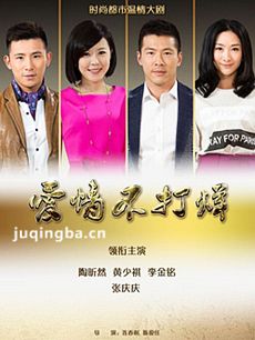 爱情不打烊 爱情不打烊剧情介绍(1-45全集)