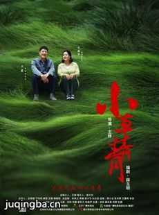 嫂娘 电视剧嫂娘剧情介绍(1-55全集)