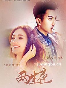 两生花 电视剧两生花剧情介绍(1-39全集)