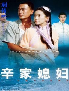 辛家媳妇 辛家媳妇剧情介绍(1-24全集)