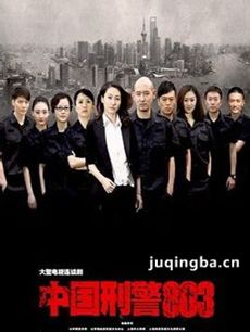 中国刑警803 中国刑警803剧情介绍(1-50全集)