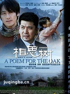相思树 电视剧相思树剧情介绍(1-29全集)