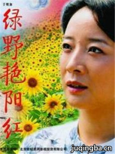 绿野艳阳红 绿野艳阳红剧情介绍(1-24全集)