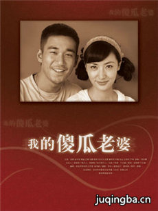 我的傻瓜老婆 我的傻瓜老婆剧情介绍(1-20全集)