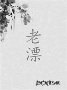 老漂 老漂剧情介绍(1-30全集)