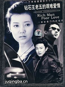 钻石王老五的艰难爱情 钻石王老五的艰难爱情剧情介绍...