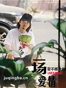 一场奋不顾身的爱情 一场奋不顾身的爱情剧情介绍(1-...