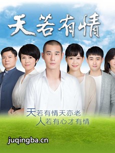 台剧天若有情 台剧《天若有情》剧情介绍(1-130全集)