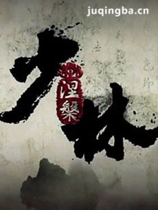 少林涅槃 少林涅槃剧情介绍(1-50全集)
