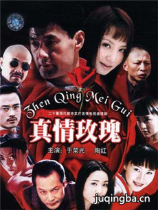 真情玫瑰 真情玫瑰剧情介绍(1-20全集)