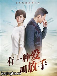 家年华 电视剧家年华剧情介绍(1-42全集)