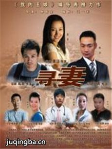 寻妻 电视剧寻妻剧情介绍(1-35全集)