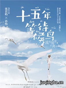 十五年等待候鸟 电视剧《十五年等待候鸟》剧情介绍(...