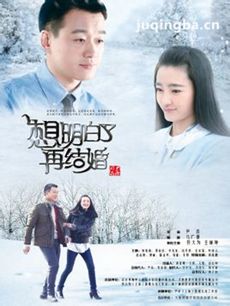 想明白了再结婚 想明白了再结婚剧情介绍(1-38全集)