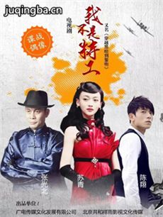 我不是特工 我不是特工剧情介绍(1-40全集)