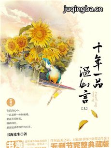 十年一品温如言 电视剧《十年一品温如言》剧情介绍(...