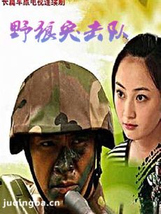 野狼突击队 电视剧《野狼突击队》剧情介绍(1-28全集...