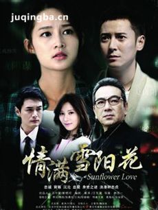 情满雪阳花 情满雪阳花剧情介绍(1-49全集)