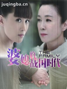 婆媳攻防战 婆媳攻防战剧情介绍(1-40全集)