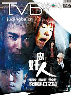 忠奸人 tvb忠奸人剧情介绍(1-30全集)