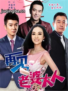 再见老婆大人 再见老婆大人剧情介绍(1-38全集)