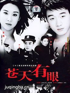 苍天有眼 电视剧《苍天有眼》剧情介绍(1-20全集)