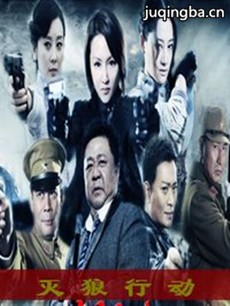 灭狼行动 灭狼行动剧情介绍(1-30全集)