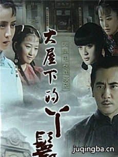 大屋的丫鬟们 大屋的丫鬟们剧情介绍(1-37全集)