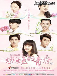 燃烧的青春 燃烧的青春剧情介绍(1-32全集)