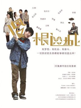 傻根进城 傻根进城剧情介绍(1-40全集)
