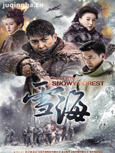 雪海 电视剧雪海剧情介绍1-40全集(保剑锋版)