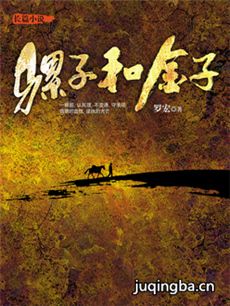 骡子与金子 骡子与金子剧情介绍(1-36全集)