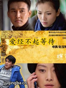 爱经不起等待 爱经不起等待剧情介绍(1-41全集)