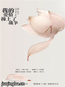 我的爱情撞上了战争 我的爱情撞上了战争剧情介绍(1-...