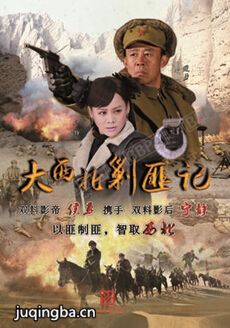 大西北剿匪记 大西北剿匪记剧情介绍(1-46全集)