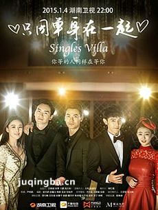 只因单身在一起 只因单身在一起剧情介绍(1-24全集)